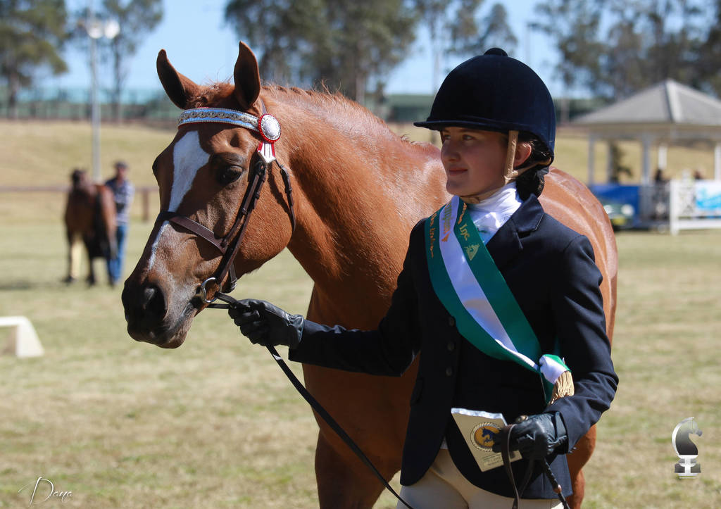 NSW ARABIAN STATE TITLES - SYDNEY AUSTRALIA