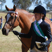 NSW ARABIAN STATE TITLES - SYDNEY AUSTRALIA