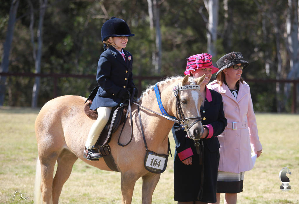 NSW ARABIAN STATE TITLES - SYDNEY AUSTRALIA