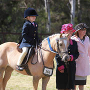 NSW ARABIAN STATE TITLES - SYDNEY AUSTRALIA