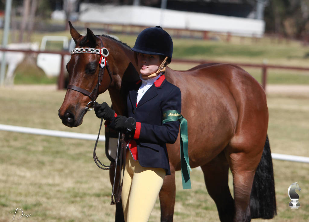 NSW ARABIAN STATE TITLES - SYDNEY AUSTRALIA