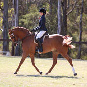 NSW ARABIAN STATE TITLES - SYDNEY AUSTRALIA