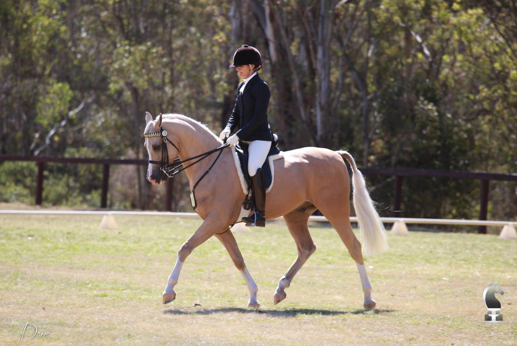 NSW ARABIAN STATE TITLES - SYDNEY AUSTRALIA