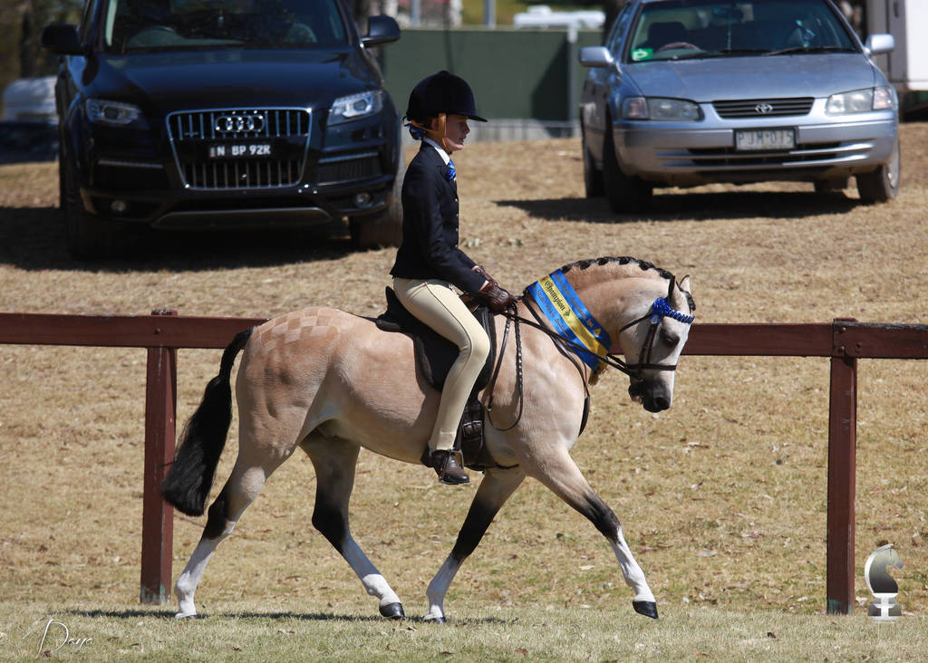 NSW ARABIAN STATE TITLES - SYDNEY AUSTRALIA