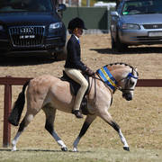 NSW ARABIAN STATE TITLES - SYDNEY AUSTRALIA