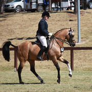 NSW ARABIAN STATE TITLES - SYDNEY AUSTRALIA