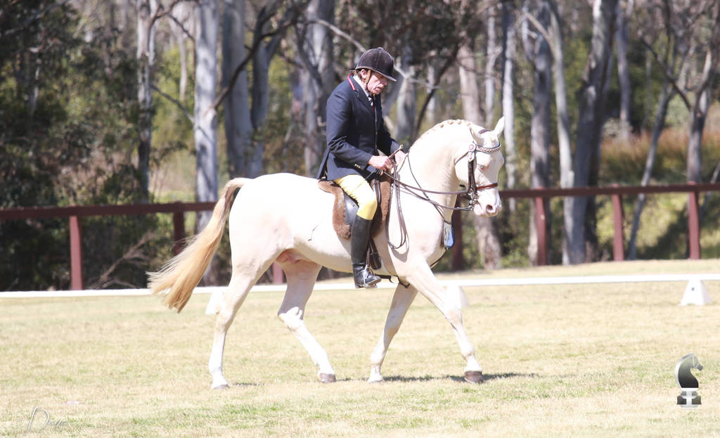 NSW ARABIAN STATE TITLES - SYDNEY AUSTRALIA