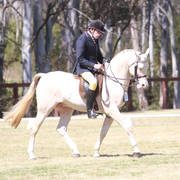 NSW ARABIAN STATE TITLES - SYDNEY AUSTRALIA