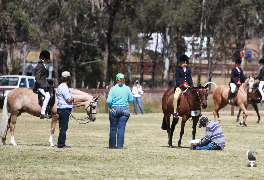 NSW ARABIAN STATE TITLES - SYDNEY AUSTRALIA
