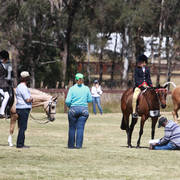 NSW ARABIAN STATE TITLES - SYDNEY AUSTRALIA
