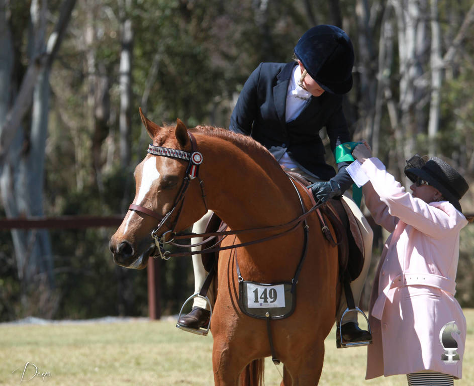 NSW ARABIAN STATE TITLES - SYDNEY AUSTRALIA
