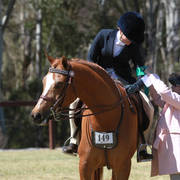 NSW ARABIAN STATE TITLES - SYDNEY AUSTRALIA