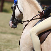 NSW ARABIAN STATE TITLES - SYDNEY AUSTRALIA