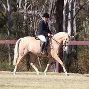 NSW ARABIAN STATE TITLES - SYDNEY AUSTRALIA