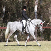 NSW ARABIAN STATE TITLES - SYDNEY AUSTRALIA