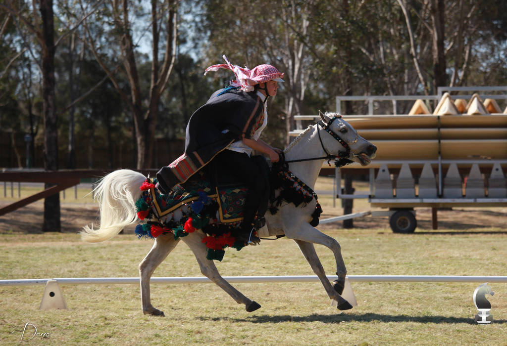 NSW ARABIAN STATE TITLES - SYDNEY AUSTRALIA