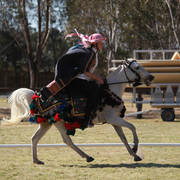 NSW ARABIAN STATE TITLES - SYDNEY AUSTRALIA
