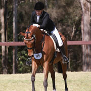 NSW ARABIAN STATE TITLES - SYDNEY AUSTRALIA