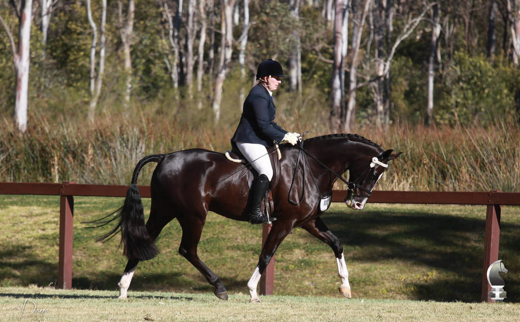 NSW ARABIAN STATE TITLES - SYDNEY AUSTRALIA