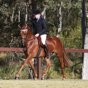 NSW ARABIAN STATE TITLES - SYDNEY AUSTRALIA