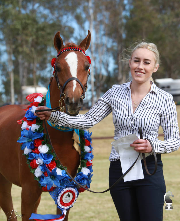 NSW ARABIAN STATE TITLES - SYDNEY AUSTRALIA