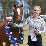 NSW ARABIAN STATE TITLES - SYDNEY AUSTRALIA
