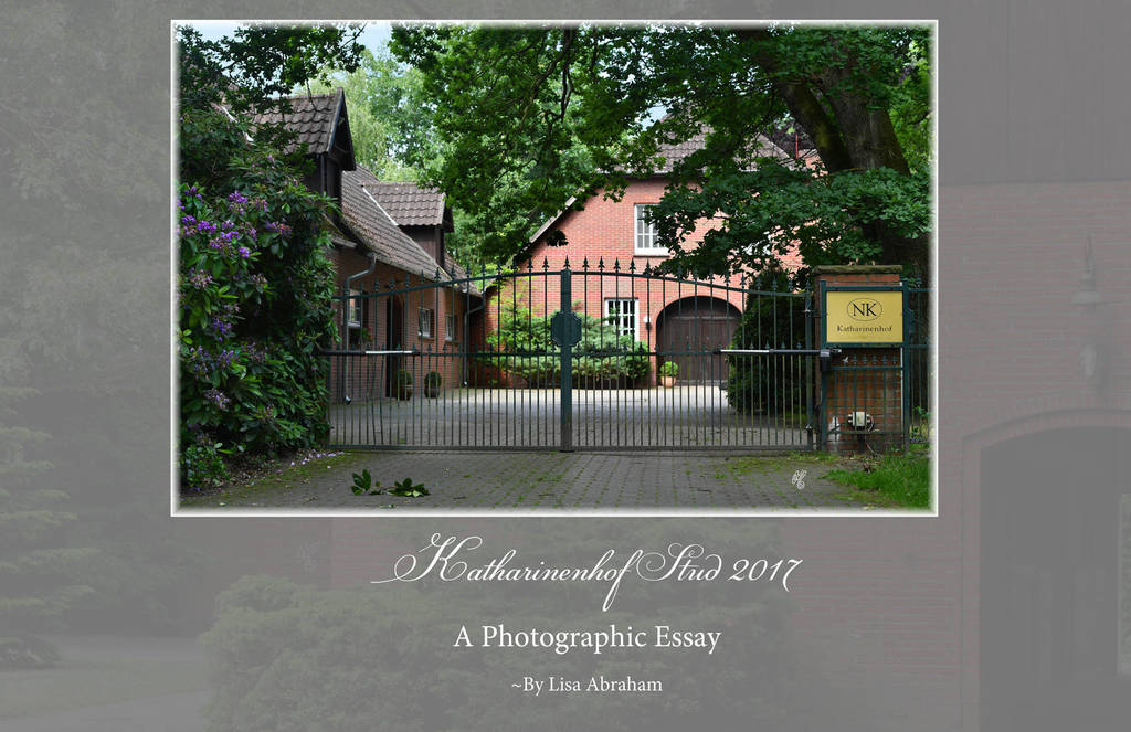 Lisa Abraham: Katharinenhof Stud 2017: A Photographic Essay