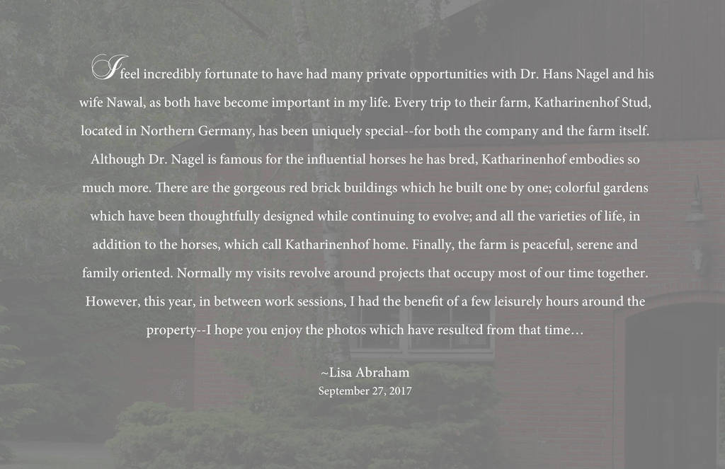 Lisa Abraham: Katharinenhof Stud 2017: A Photographic Essay