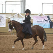 Youth Arabian National Championships