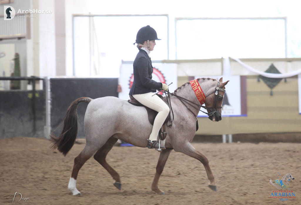 Youth Arabian National Championships