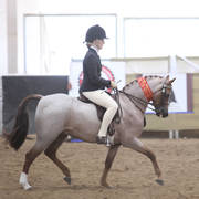 Youth Arabian National Championships