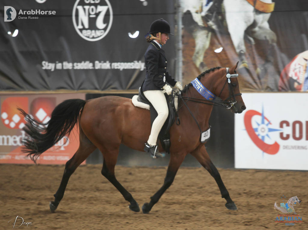 Youth Arabian National Championships