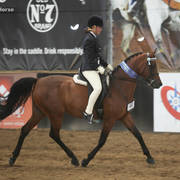 Youth Arabian National Championships