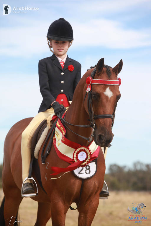 Youth Arabian National Championships