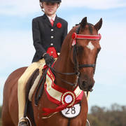 Youth Arabian National Championships