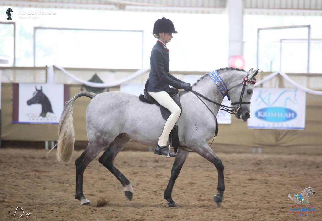 Youth Arabian National Championships