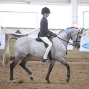 Youth Arabian National Championships