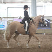 Youth Arabian National Championships