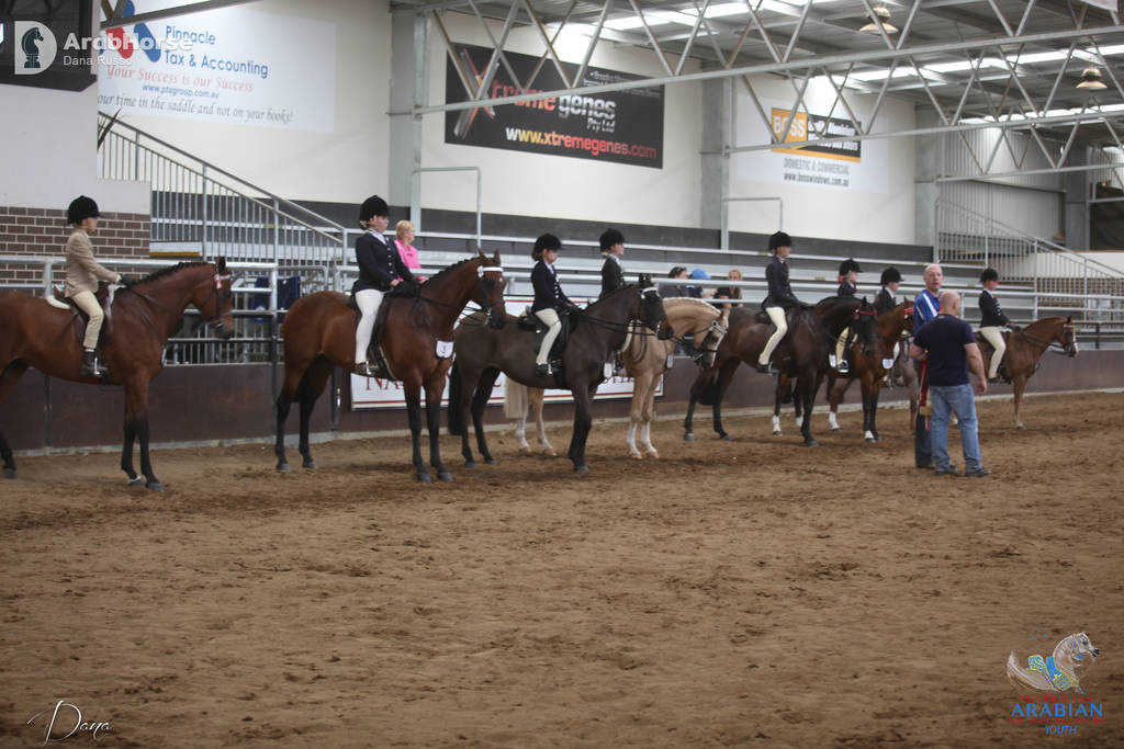 Youth Arabian National Championships