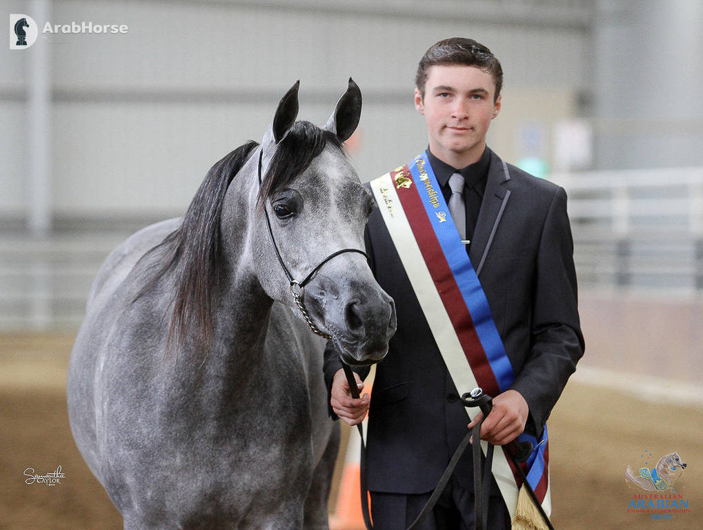 Youth Arabian National Championships