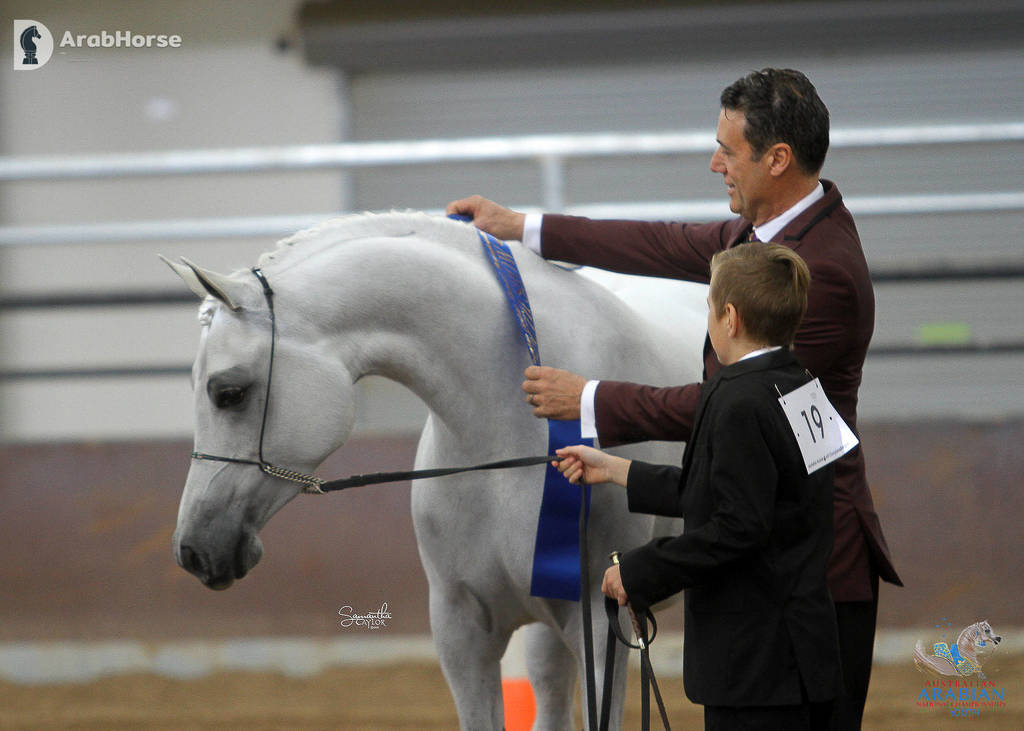 Youth Arabian National Championships