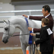Youth Arabian National Championships