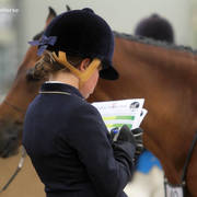 Youth Arabian National Championships