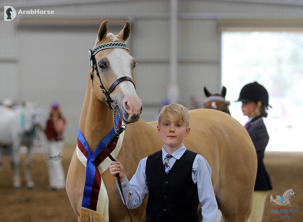 Youth Arabian National Championships