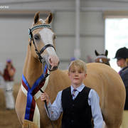 Youth Arabian National Championships