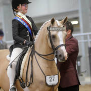 Youth Arabian National Championships