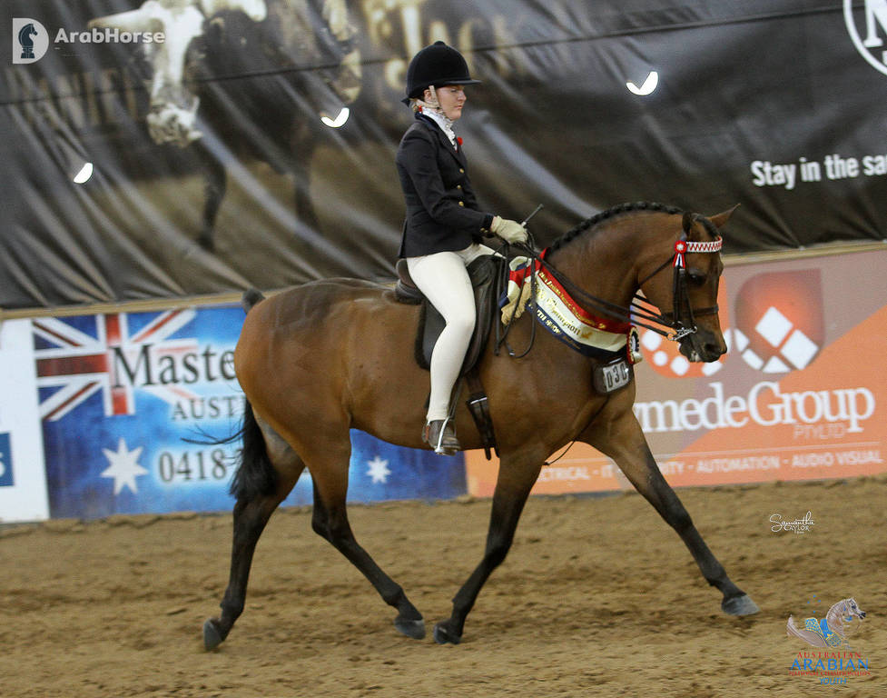 Youth Arabian National Championships