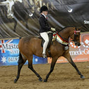 Youth Arabian National Championships