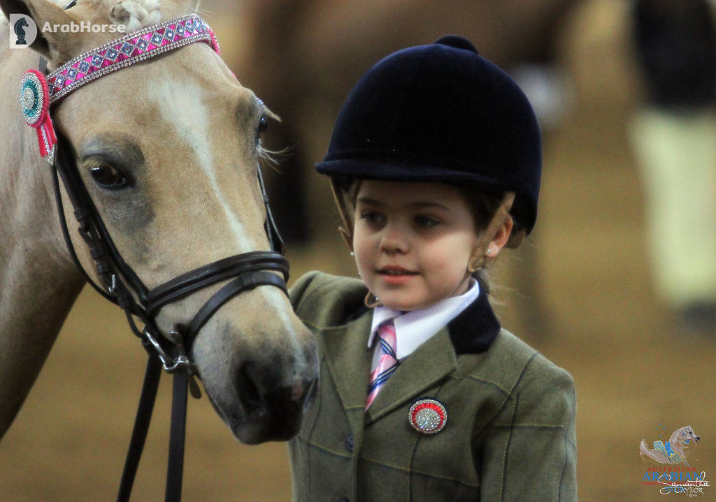 Youth Arabian National Championships