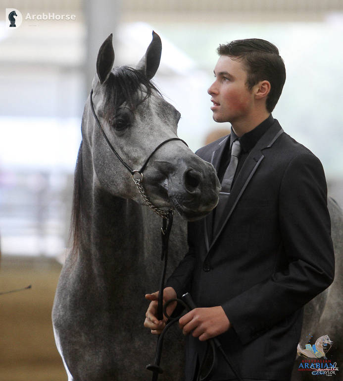 Youth Arabian National Championships